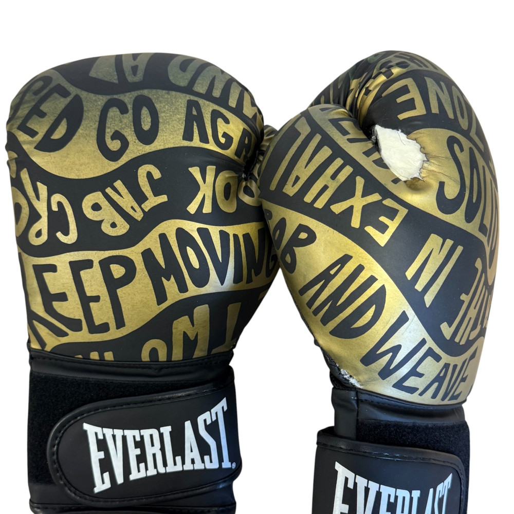 Rękawice bokserskie Everlast Spark EV2150 BLK/GLD 14oz