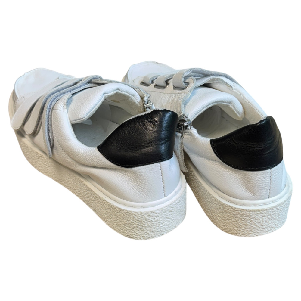 Zign BUTY SPORTOWE damskie 40/39