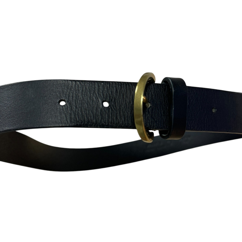 Pasek Pinko S 102141 Y783