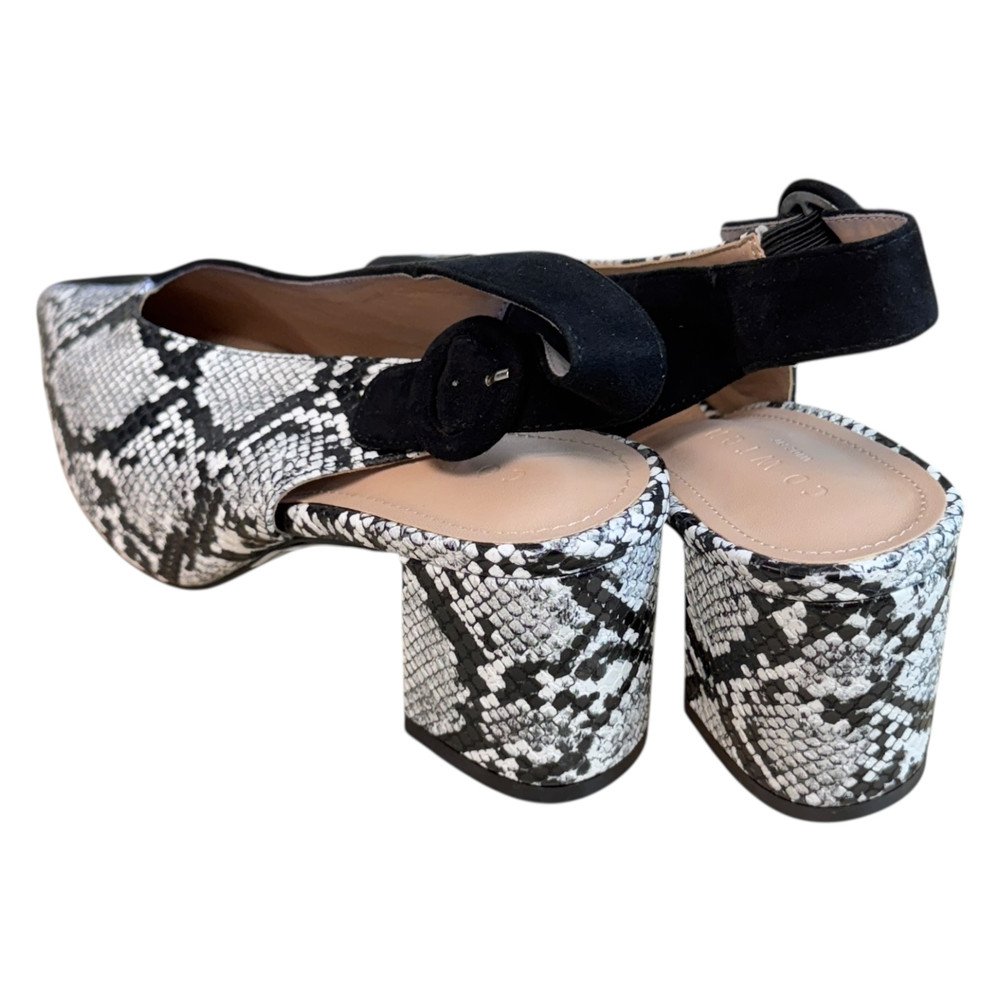 Co wren CZÓŁENKA damskie 39