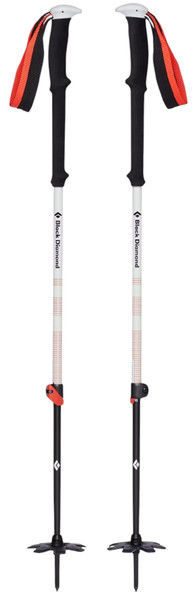 Kije skiturowe Black Diamond Expedition 2 Ski 155