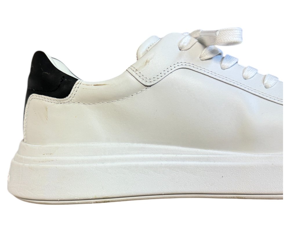 Calvin Klein  Low Top Lace Up Lth  BUTY SPORTOWE  męskie 44