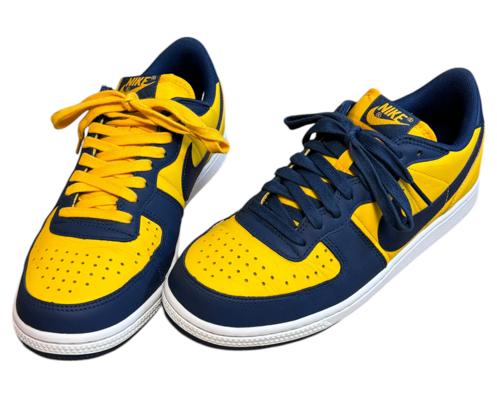 Nike  Terminator Low Og  BUTY SPORTOWE  męskie 41