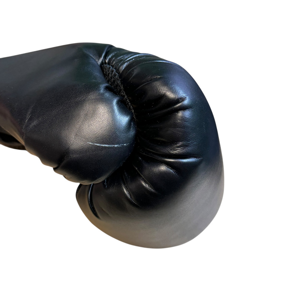 Rękawice bokserskie Everlast Pro Style 2 EV2120 12oz