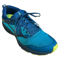 Mizuno Wave Rider BUTY SPORTOWE męskie 42