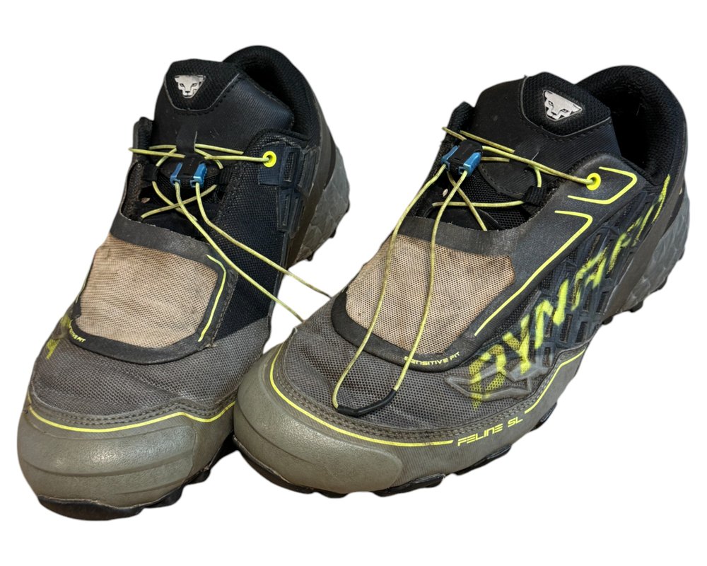 Dynafit Feline SL GTX GORE-TEX BUTY TREKKINGOWE  męskie 45