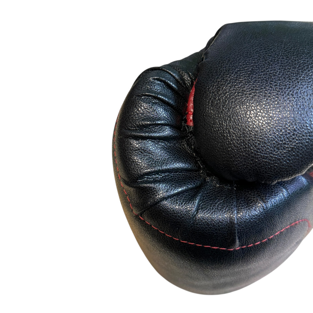 Rękawice bokserskie Everlast Elite Muay Thai  EV360MT 12oz