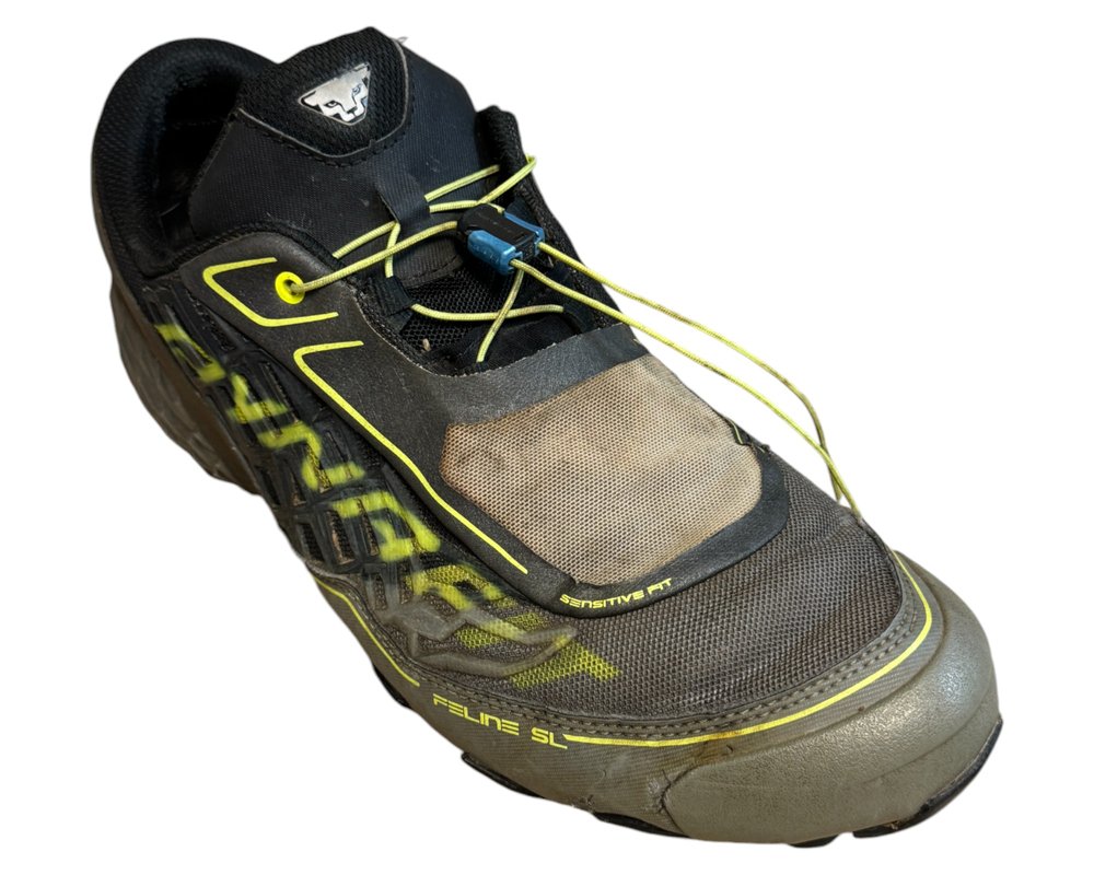 Dynafit Feline SL GTX GORE-TEX BUTY TREKKINGOWE  męskie 45