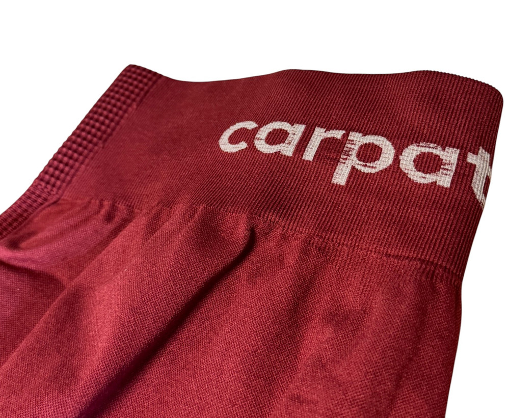 Legginsy damskie Carpatree Phase Seamless L 