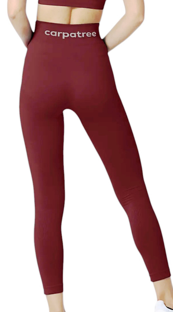 Legginsy damskie Carpatree Phase Seamless L
