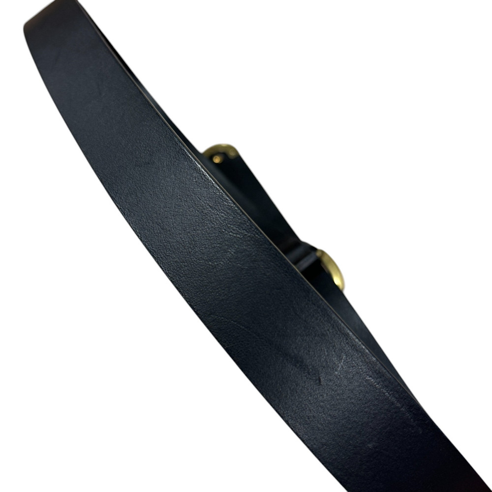 Pasek Pinko S 102141 Y783